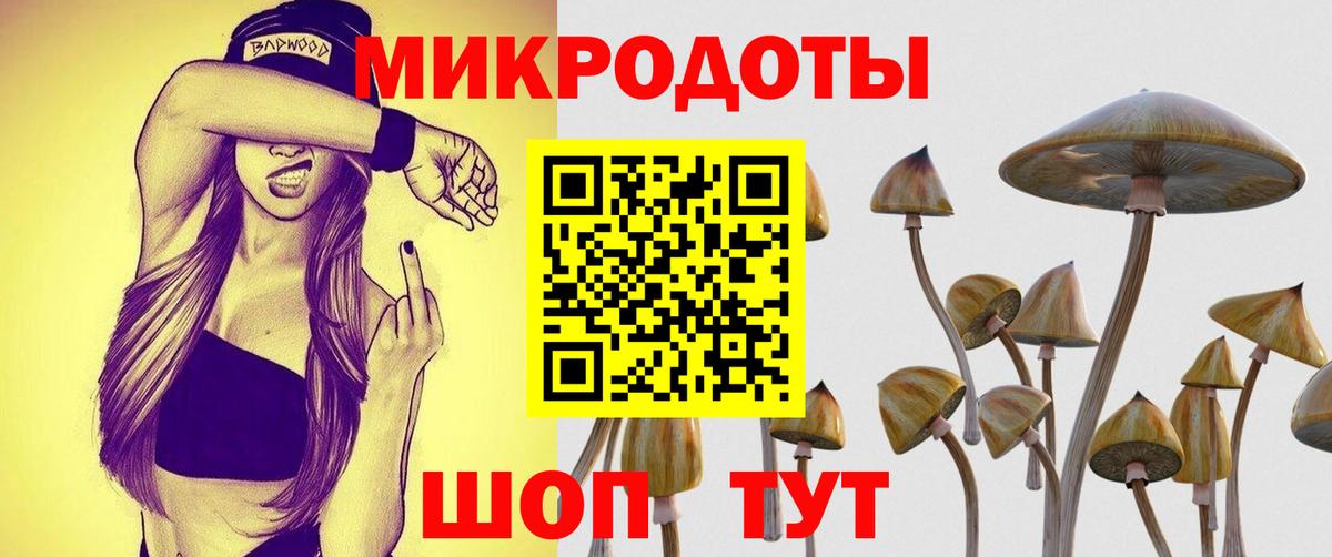 Сосновый Бор  Псилоцибиновые грибы Psilocybine cubensis  хочу наркоту  Вход с VPN 