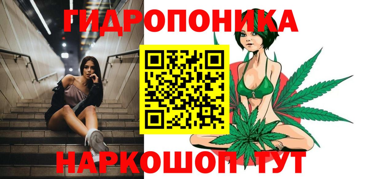 Сосновый Бор  Бошки Шишки ГИДРОПОН  Вход с VPN  Канабис ГИДРОПОН  Бошки марихуана Ganja  Каннабис семена 